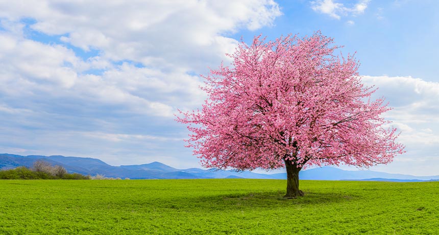 prayer